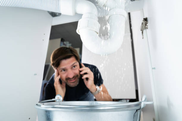 Best Clogged Drain Plumber  in Spring Valley, IL