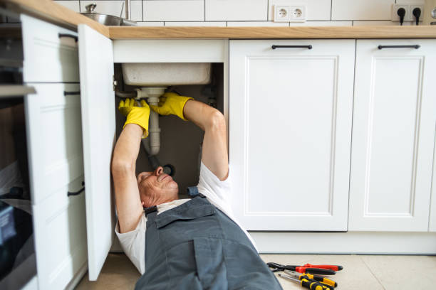 Best Affordable Plumber Near Me  in Spring Valley, IL