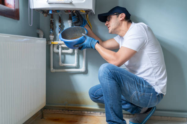 Best Residential Plumbing Services  in Spring Valley, IL