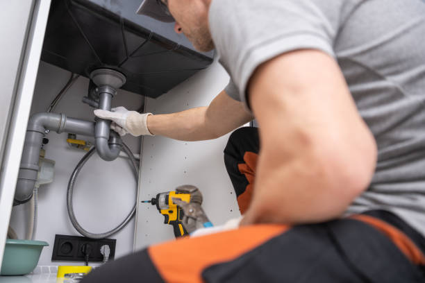 Best Commercial Plumbing Services  in Spring Valley, IL